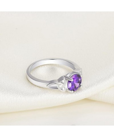 Celtic Knot Rings for Women 925 Sterling Silver Birthstones Statement Rings 02-amethyst-Feb $31.20 Rings