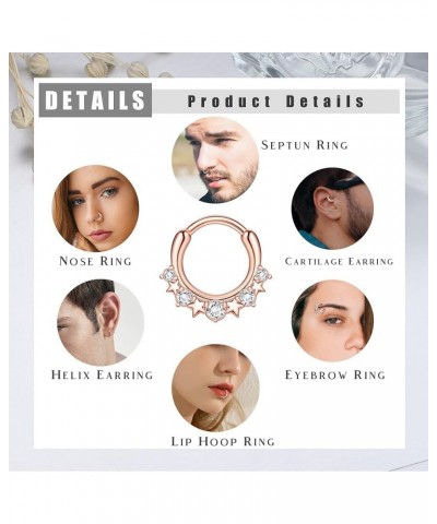 12pcs Septum Jewelry 16g Daith Earrings Hinged Hoop Nose Rings Septum Clicker Cz Stainless Steel Cartilage Earring Helix Trag...