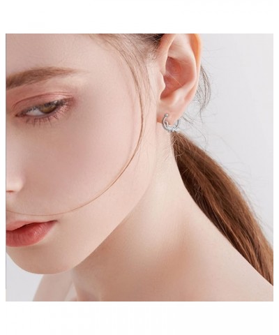 925 Sterling Silver Small Hoop Earrings for Sensitive Ears Cute Animal Jewelry Gifts for Women Daughter Dinosaur $17.81 Earrings