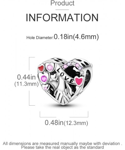 925 Sterling Silver Charms for Bracelet Necklace European Jewelry Pendant Beads Love Valentine's Day Gift for Her Women Girl ...