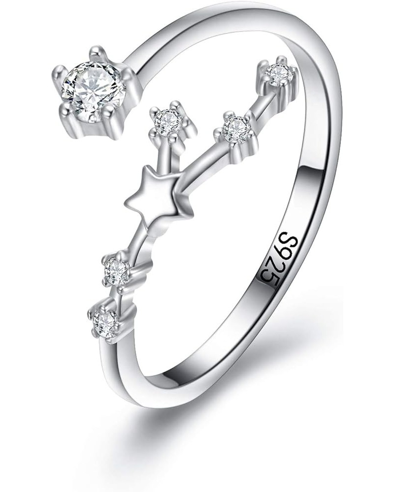 Women's 925 Sterling Silver Cubic Zirconia Horoscope Zodiac 12 Constellat Ring Collection Birthday Gift, Valentine's Day/Moth...