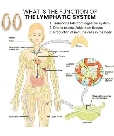 2 Pairs Lymphatic Drainage Slimming Hoop Earrings, Flysmus Halolux Lymphvity Magnetotherapy Germanium Earrings, Lymphatic Act...