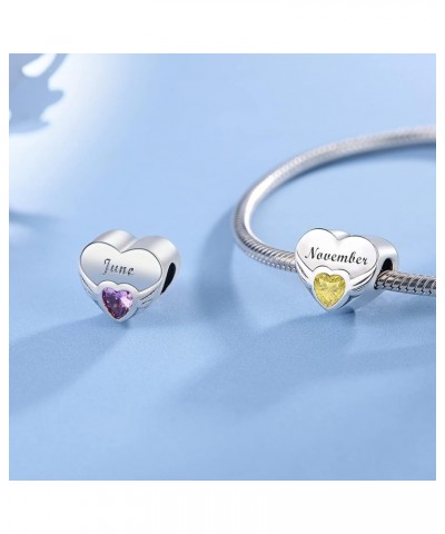 Birthstone Charm fit Charms Bracelets Angel Wing Bead Charms for Bracelets and Necklaces Birthday Gifts November $7.50 Bracelets