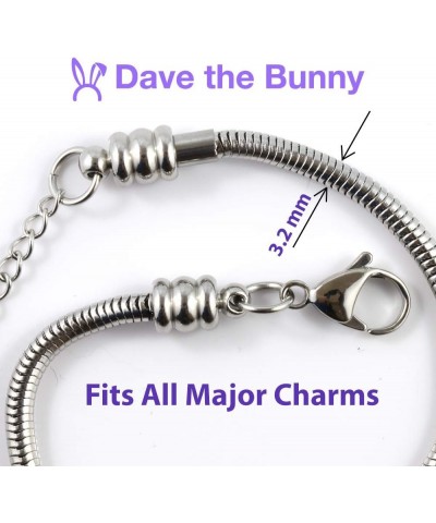 Armadillo Charm Jewelry Bracelet $13.75 Necklaces