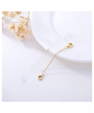 10k 14k Real Gold 1"/1.5"/2"/2.5"/3"/4"/5" Necklace Extender, Necklace Bracelet Extender Chain, Durable Gold Extender Chain, ...