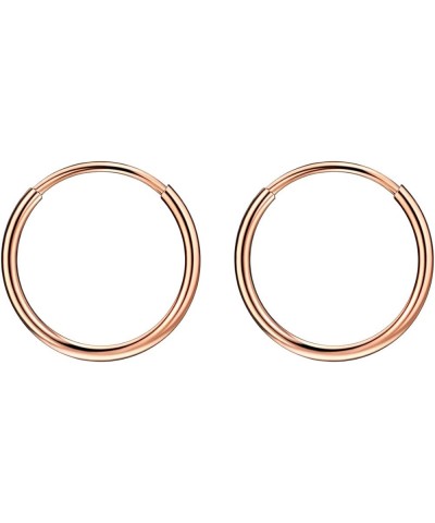 316L Surgical Steel Endless Hoop Earrings for Women Silver/Gold/Rose Gold/Black 8mm/10mm/12mm 10mm 01: Plain Hoop, Rose Gold ...