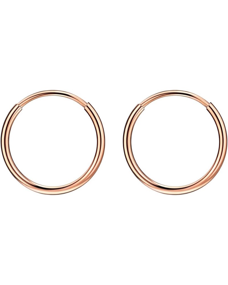 316L Surgical Steel Endless Hoop Earrings for Women Silver/Gold/Rose Gold/Black 8mm/10mm/12mm 10mm 01: Plain Hoop, Rose Gold ...