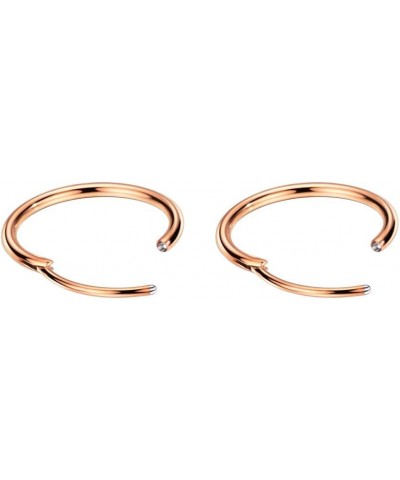 316L Surgical Steel Endless Hoop Earrings for Women Silver/Gold/Rose Gold/Black 8mm/10mm/12mm 10mm 01: Plain Hoop, Rose Gold ...