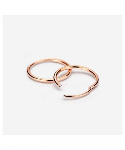 316L Surgical Steel Endless Hoop Earrings for Women Silver/Gold/Rose Gold/Black 8mm/10mm/12mm 10mm 01: Plain Hoop, Rose Gold ...