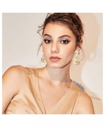 Crystals Teardrop Dangle Statement Earrings, Rhinestone Chandelier Fashion Earrings for Women Champagne $9.45 Earrings