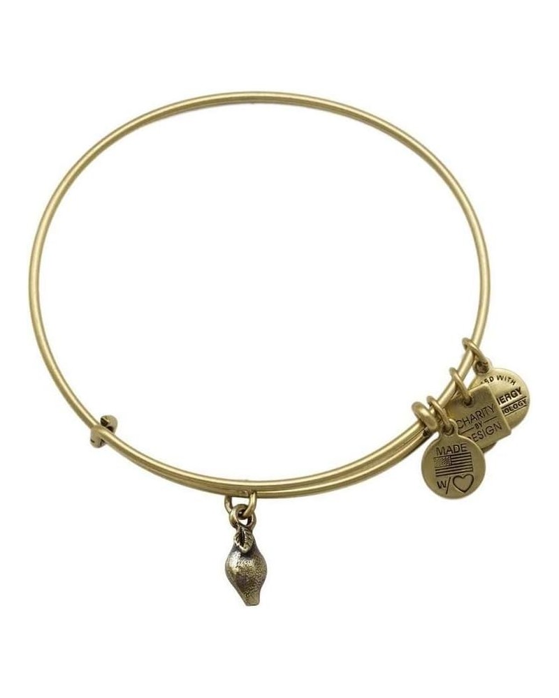 Zest for Life Bangle Bracelet Rafaelian Gold $10.75 Bracelets